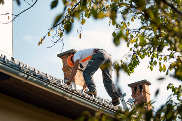 Best Roof Ventilation Installation  in Saucier, MS