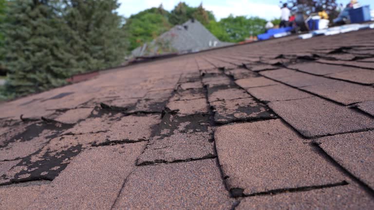 Fast & Reliable Emergency Roof Repairs in Saucier, MS
