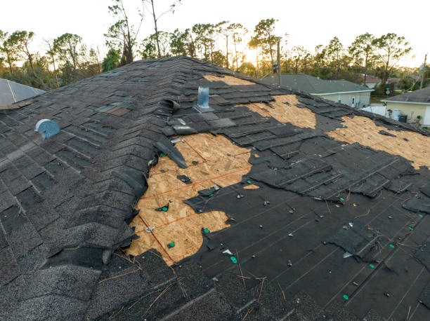 Best Metal Roofing Installation  in Saucier, MS